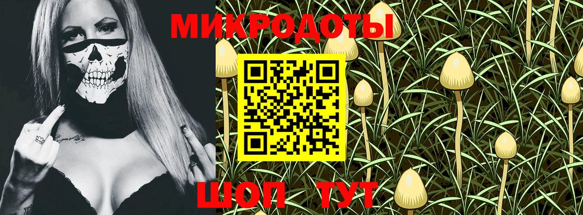 Сальск  Галлюциногенные грибы прущие грибы  Вход с VPN 
