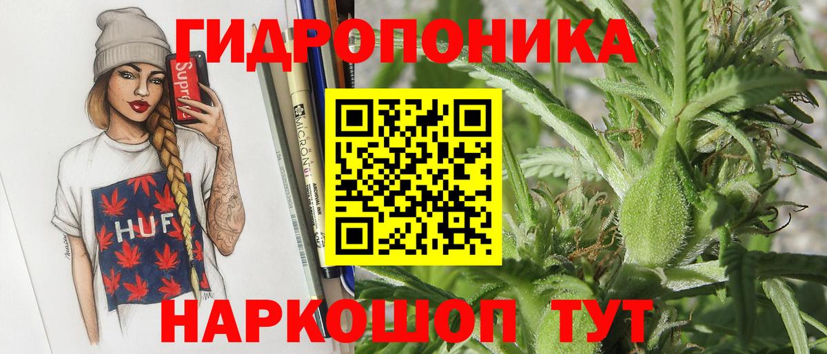 Бошки марихуана VHQ  Вход с VPN  Сальск  Шишки марихуана LSD WEED  Бошки Шишки AK-47 